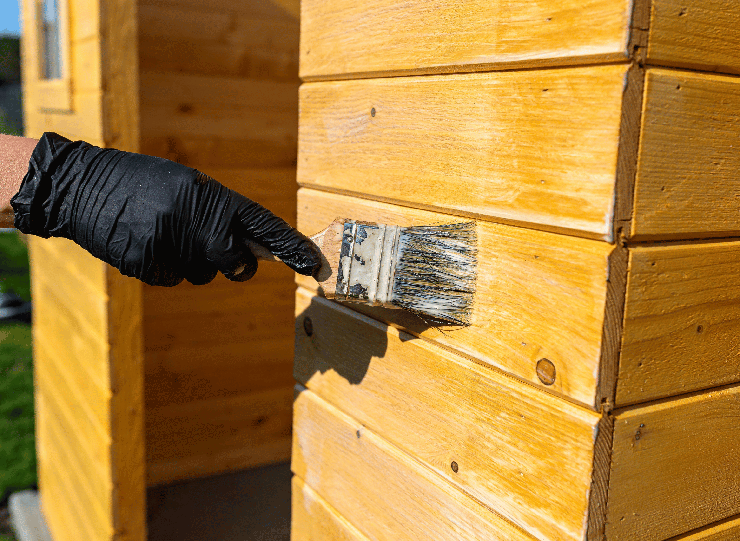 Comment entretenir et protéger un abri de jardin en bois ?