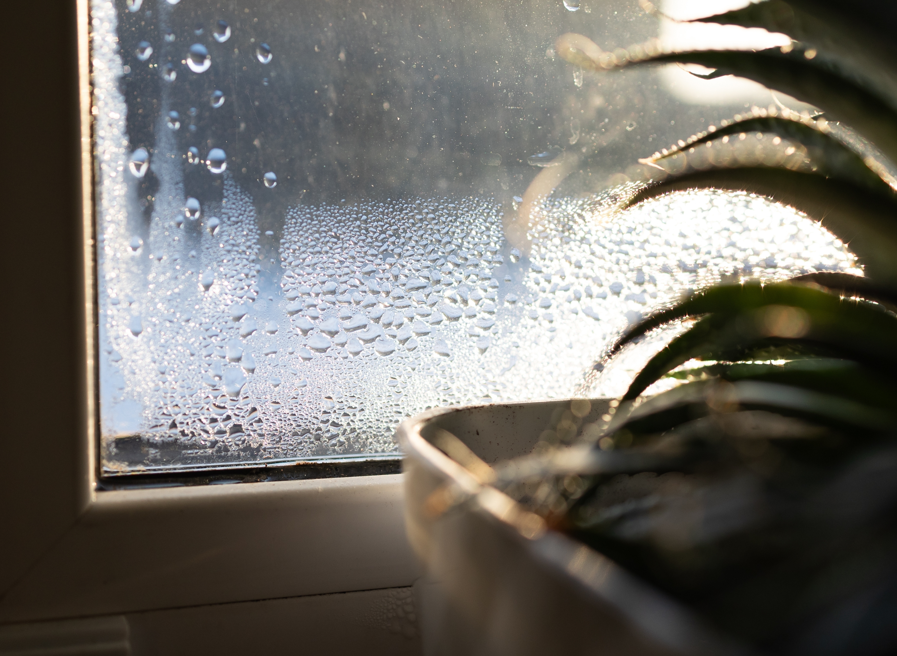 Humidité dans la maison après les pluies de mai : que faire pour assainir ?