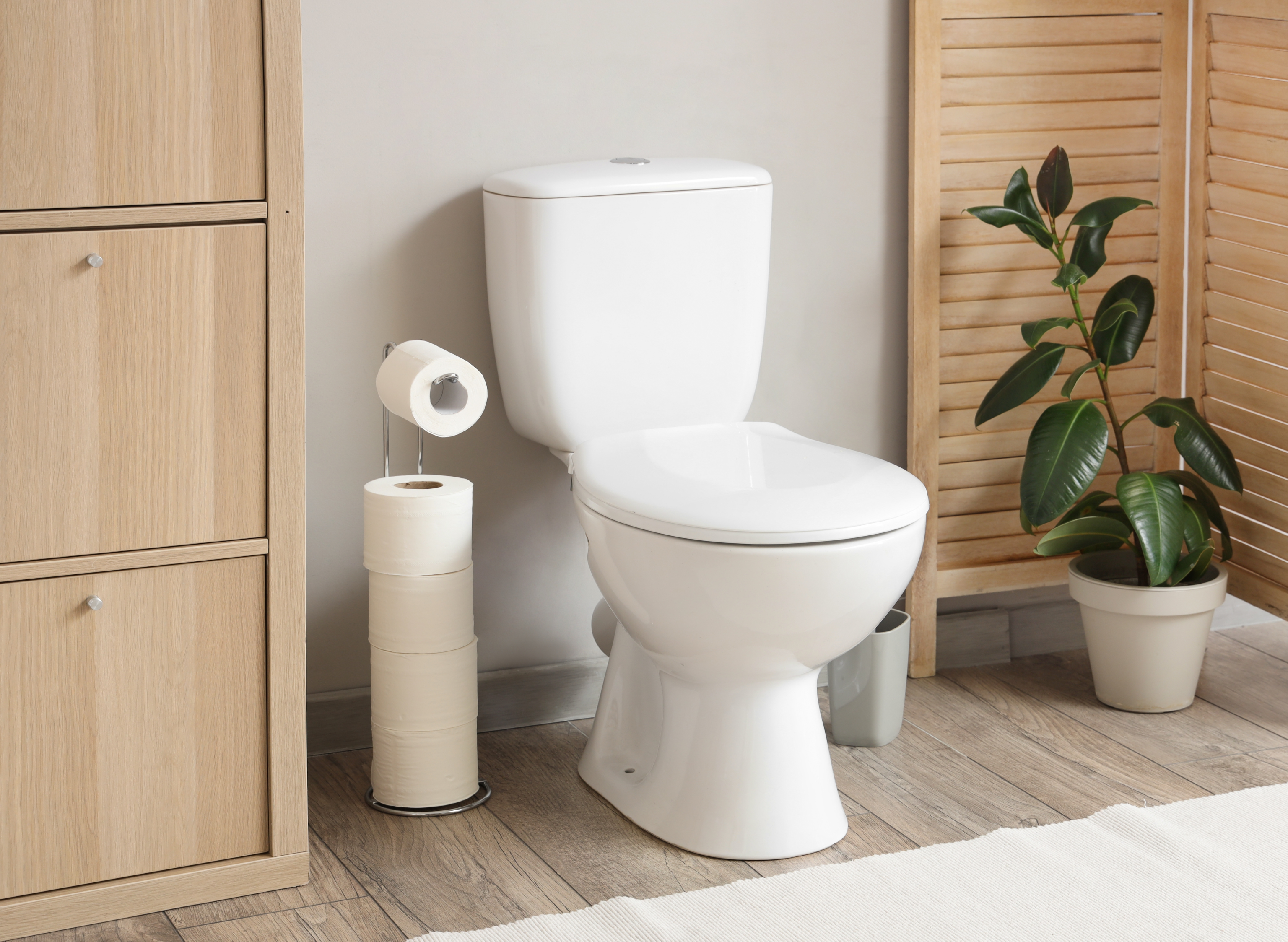 Toilettes