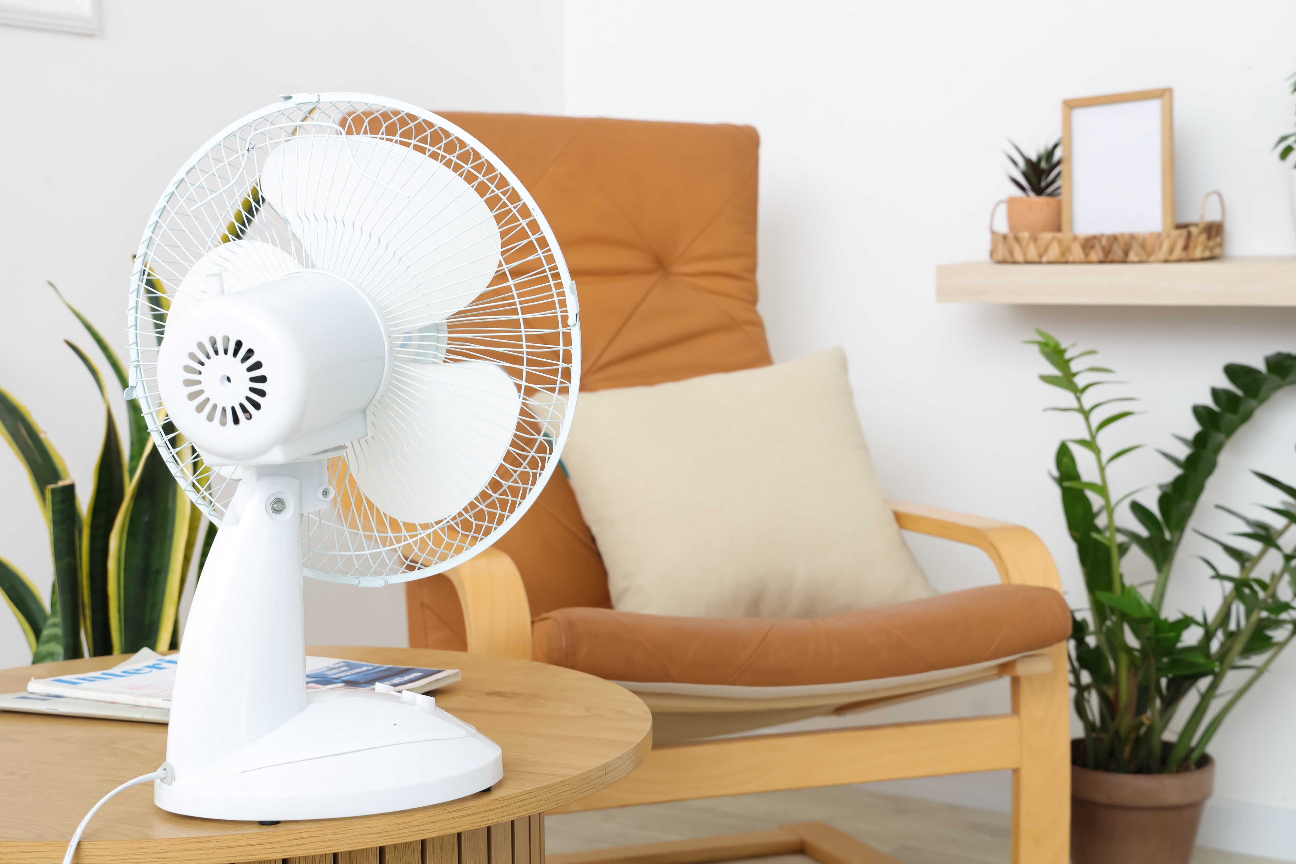 2. Choisir le bon équipement : ventilateur ou climatiseur ?